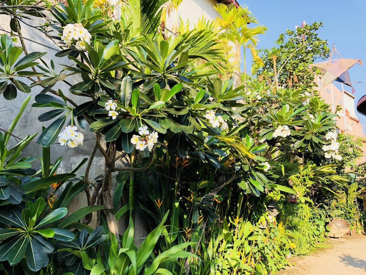 Sophat Villa Siem Reap Luaran gambar